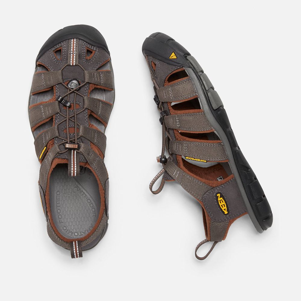 Keen Vandringssandaler Herr Bruna - Clearwater Cnx - 140837OCA